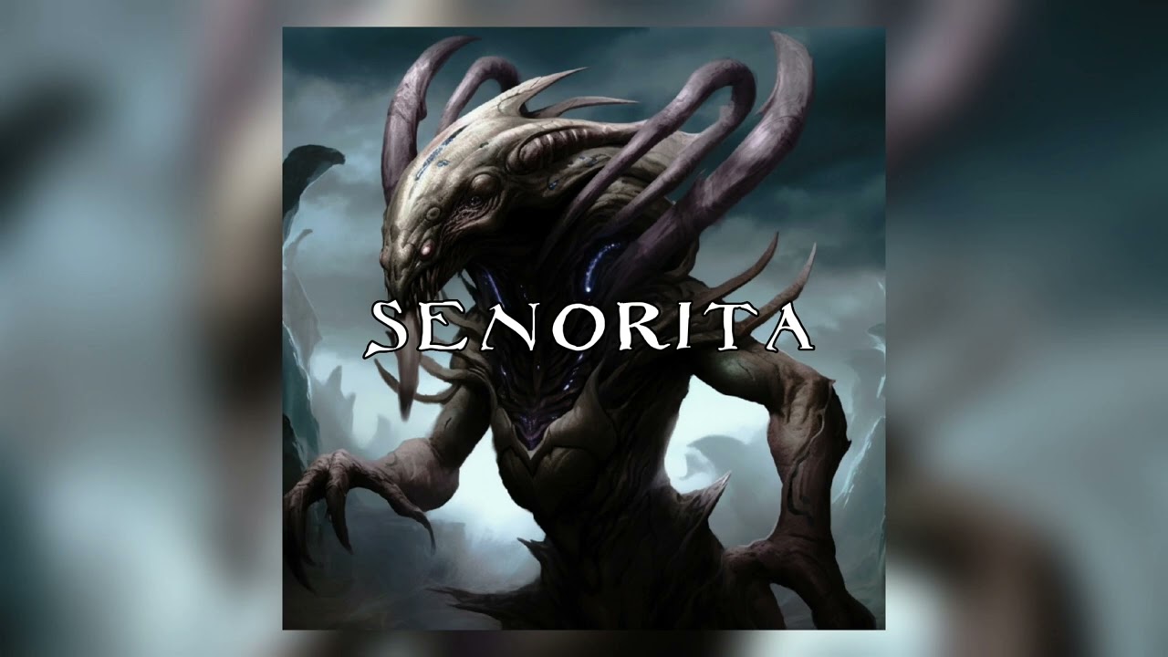 Senorita - Speed Up