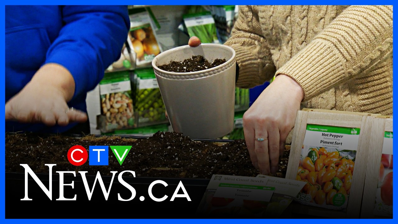 Get Growing: Seed basics for spring