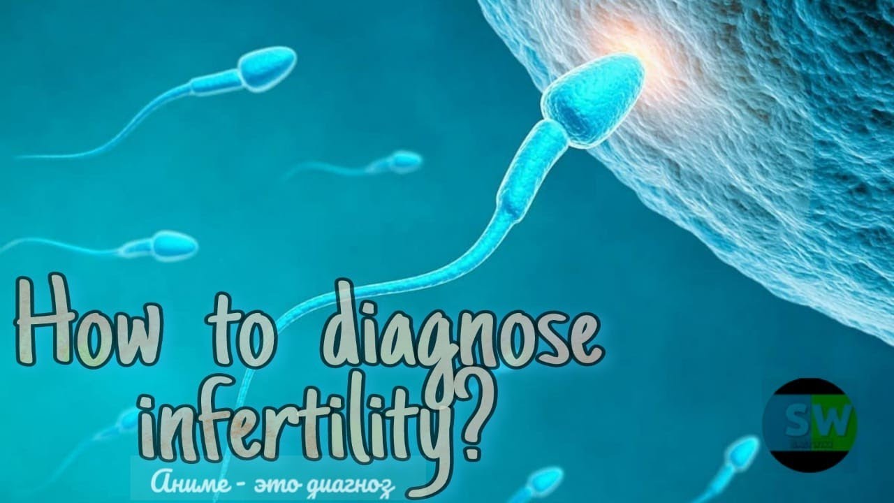 Reasons for INFERTILISATION.Treatment for Infertility in Male & Female ...