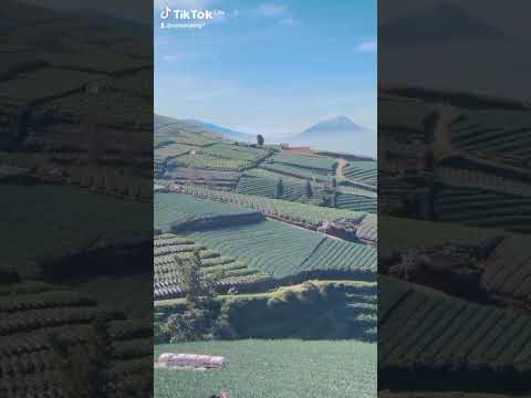 Anak Hetty Koes Endang Menikah