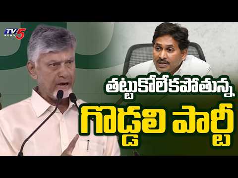 తట్టుకోలేకపోతున్న వైసీపీ...CM Chandrababu About YCP Batch Cheap Politics - Slams Ys Jagan | TV5 - TV5NEWS