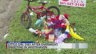 Child fatally shot on Timothy Drive in Whitehaven