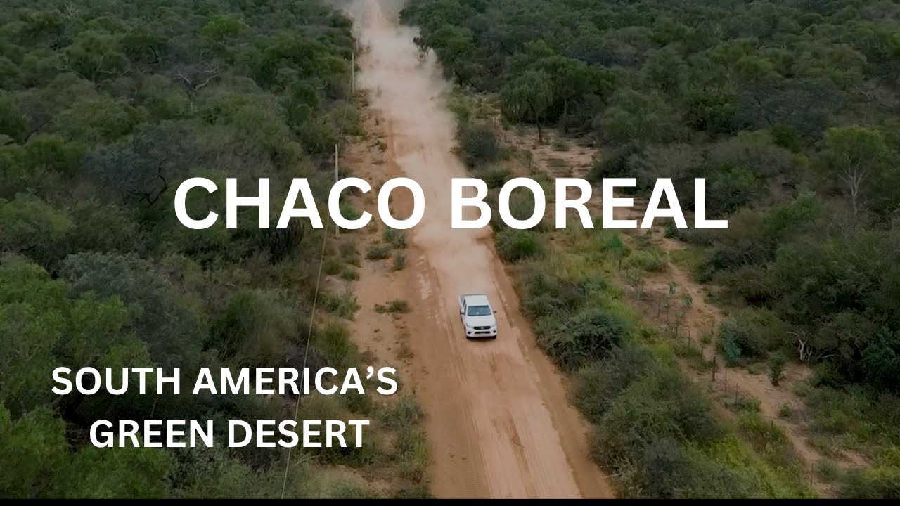 Life in the Green Desert: Surviving Paraguay’s Wild Chaco.