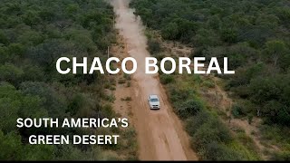 Life In The Green Desert Surviving Paraguays Wild Chaco.