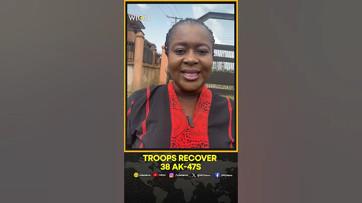Nigerian Troops Neutralise Terrorists, Recover 38 AK-47s and Other Weapons | WION Shorts