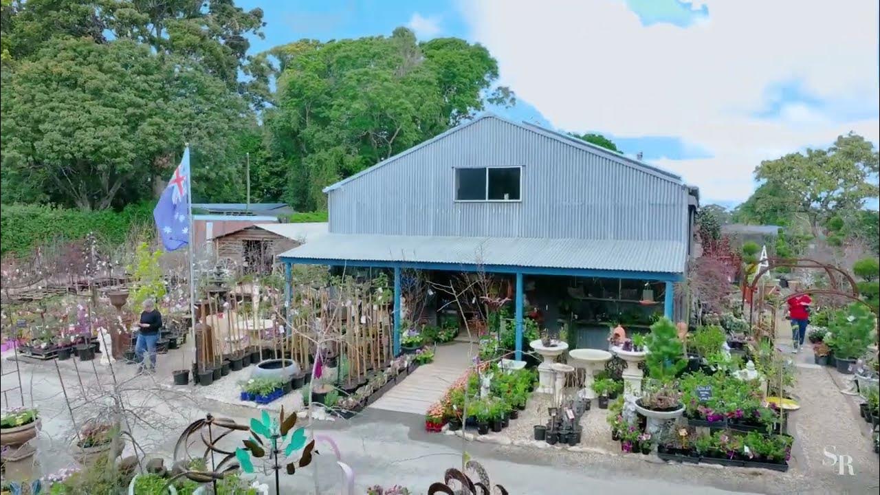 Birchgrove Nursery & Cafe' Alpine Terrace Tamborine Mountain YouTube