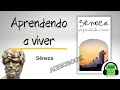 Audiobook APRENDENDO A VIVER  Sêneca | LIÇÕES ESTOICAS Audiolivro filosofia