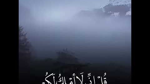 أجمل صوت قرآن كريم ياخذك إلى عالم ثاني 😴🌷