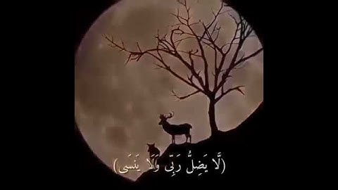 Raad Alkurdi sura Taa-haa  Aya 48-52 سوره طه آيه