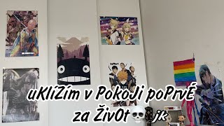 ukLízíM v PoKoJi a koUkám Naruto😎