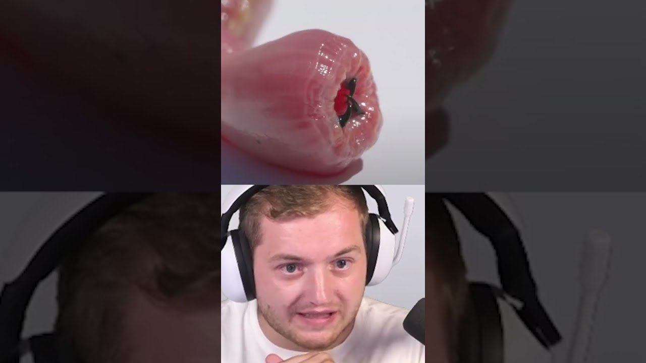 Trymacs hasst Tiere Mindset. 🗿