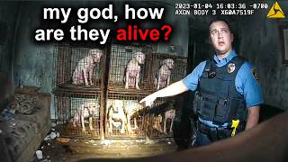 When Welfare Checks Expose Animal Cruelty