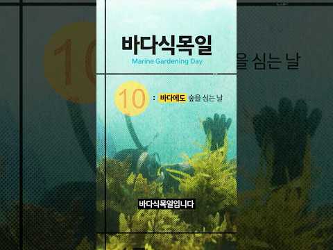 5월 10일, 바다숲을 기억하는 날 🌊