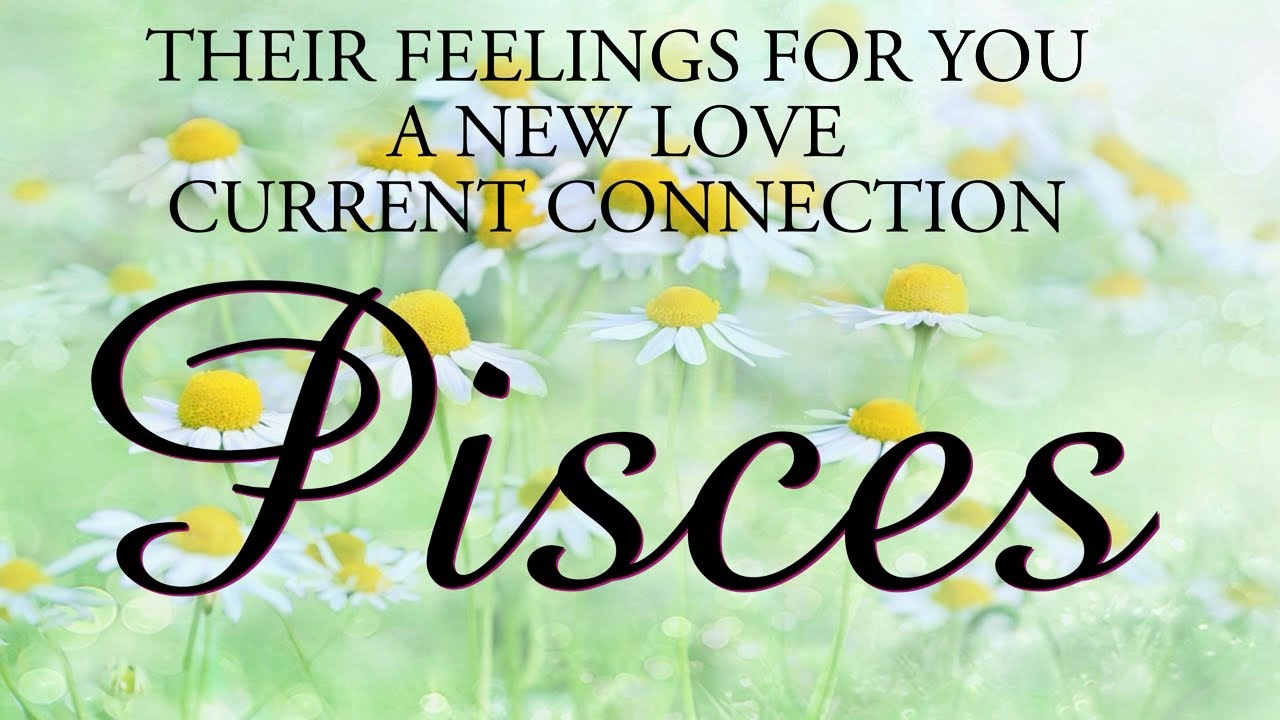 PISCES love tarot ♓️ This Person Will Explain Why They Have Been Acting This Way Recently Pisces