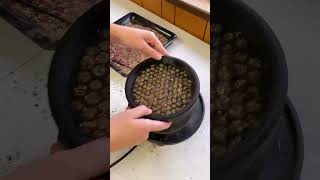 Herbal Cigarettes Mullein