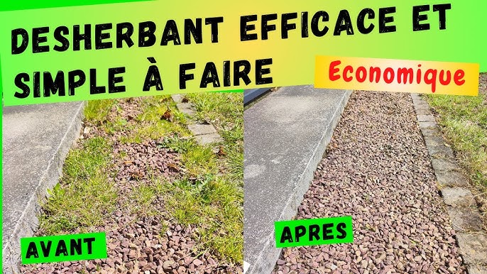 Désherbant Maison ULTRA Efficace, Simple et PAS CHER ! (0,30€ le litre) 