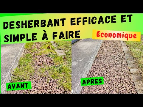 Vidéo: Un désherbage efficace dans le jardin