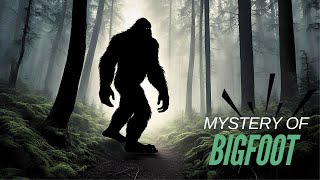 Bigfoot Found in EUROPE  | The Mystery of Bigfoot Revealed | Real Life Mystery