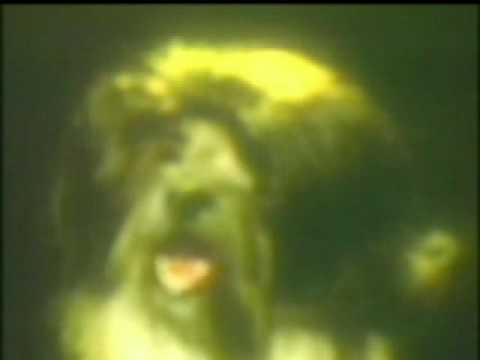 Musov Shoko - Ballad To A Wigged Dog