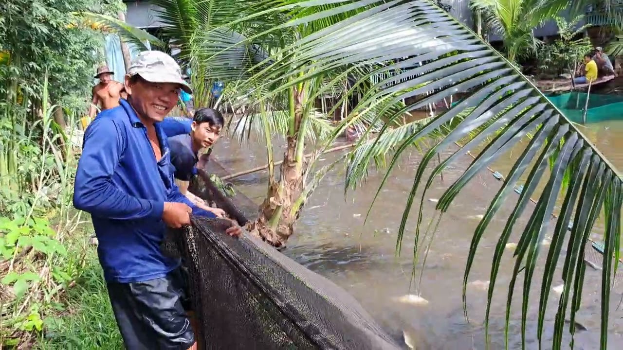 1KG 95 000 THU LÃI 250 TR . NUÔI 8 THÁNG