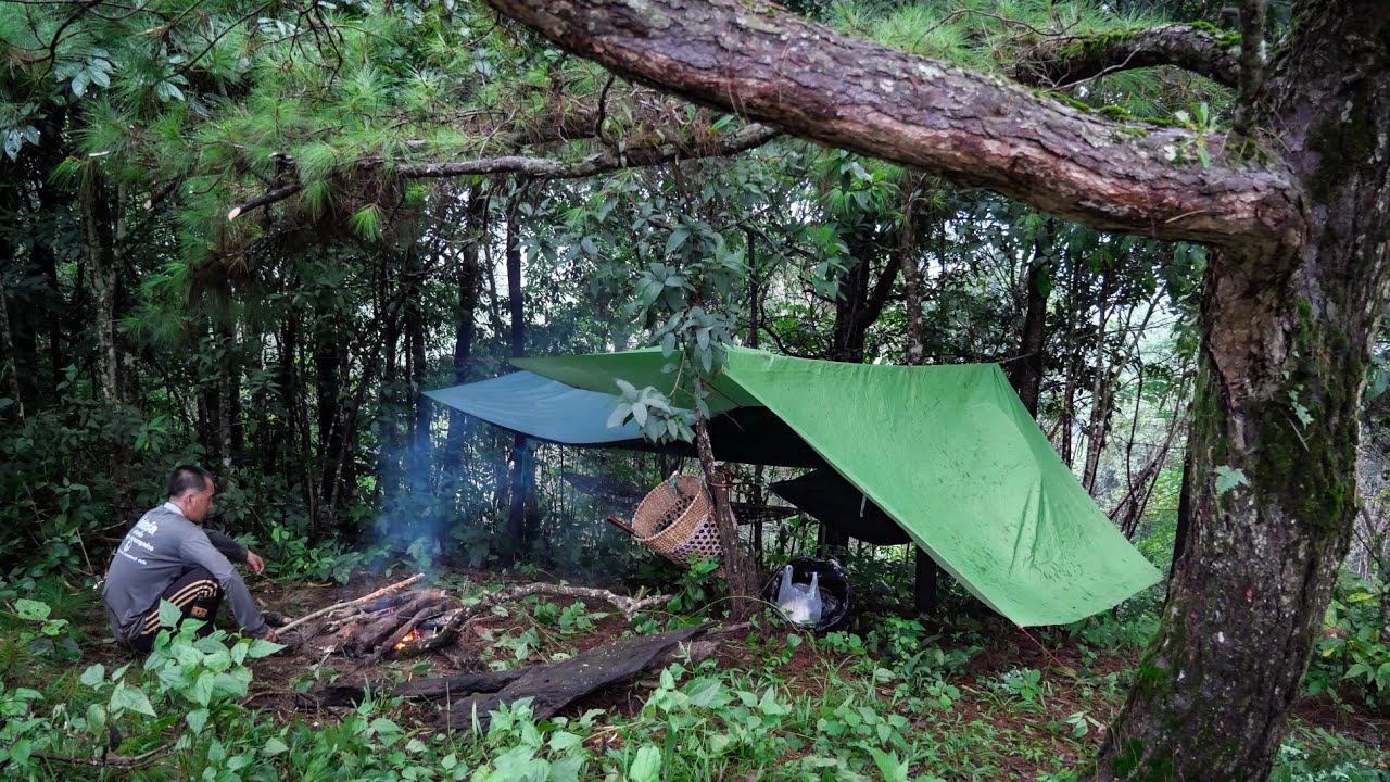 บุกป่าฝ่าดงทากไปนอนเขาสูงหลังหมู่บ้าน รถมั่วไปไม่ได้ต้องจอดทิ้งไว้ บรรยากาศหลักล้าน [วรวิช]