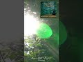 Rémi Orts Project - Reign of the forest