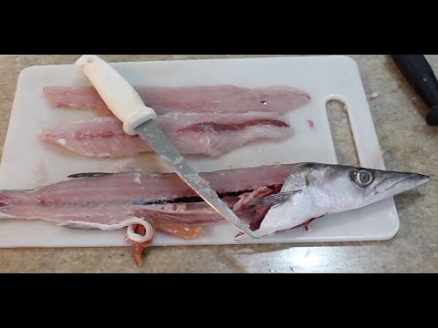 Como Limpiar Pescado Facilmente - Especie: Picua o Barracuda Pequeña 
