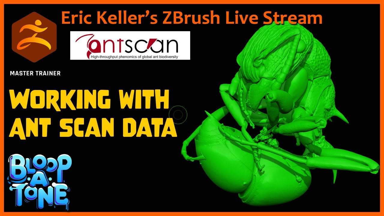 Insect Sculpting with Eric Keller: Ant Scan Part 1