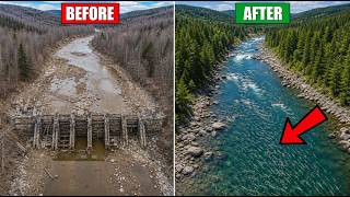 Wisconsin Tore Down a Dam Built in 1843 — A Dead River Came Back to Life In Months