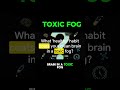 Is Your Morning Routine Toxic for Your Brain? ☕🛑