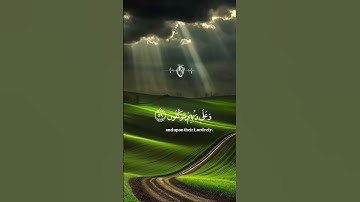 الذين صبروا وعلى ربهم يتوكلون سورة النحل – الآية 42 #أجمل_التلاوات #عبدالرحمن_مسعد #المصحف #اكسبلور