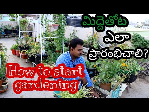 మిద్దెతోటని ఎలా మొదలు పెడితే బాగుంటుంది? How to start terrace gardening