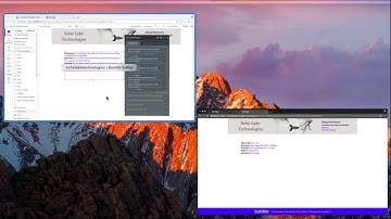 Calendar Video #8:  Delete appointment in Your Bubble.io No Code Web App
