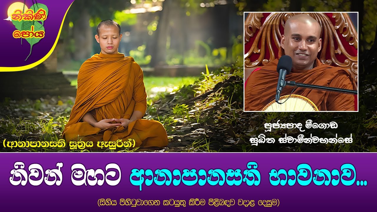 Ven Meegoda Sukhitha Thero | 2023-08-30 | 07:30 AM (නිවන් මගට ආනාපානසති භාවනාව...) නිකිණි පොහොය