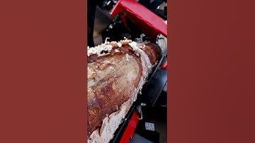 Palax C751 Smart firewood processor #forestryequipment #firewoodprocessor