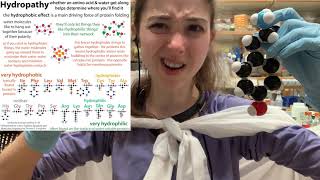 Tyrosine biochemistry - catecholamine synthesis & more