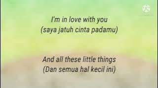 One Direction - Little Things (Lirik Terjemahan)