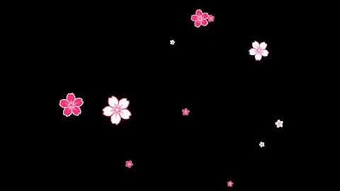 Video Background 53   Fall flowers   Hoa rơi