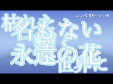文字PV「枯れない花」
