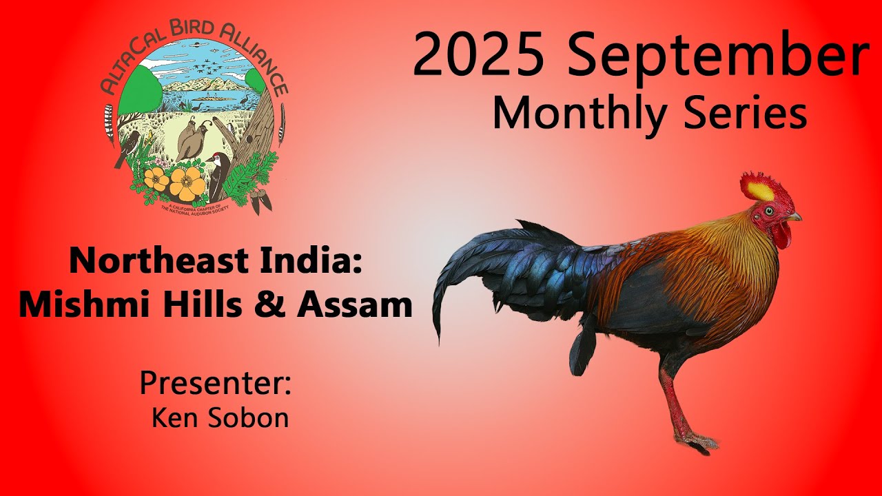 Northeast India: Mishmi Hills & Assam - September 2025