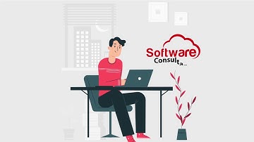 Software Consultancy Introduction - English