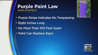 Purple Paint Stripes Now Act As 'No Trespassing' Signs