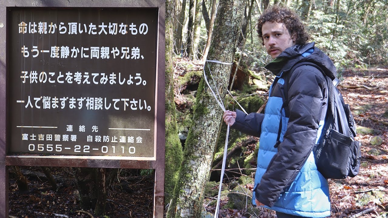 Visité el "bosque de los suicidas" en Japón…