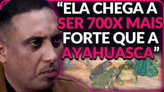 Bufo Alvarius - A Ps1Cod3Lia Mais Potente Da Terra