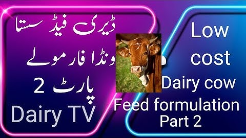 Dairy Feed Formulation Part 02