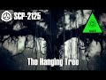 The Uncanny Oak That Hunts Men! SCP-2125 "The Hanging Tree" | SCP Horror Reading