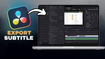 How To EXPORT Subtitle CAPTIONS In Davinci Resolve in SECONDS!
