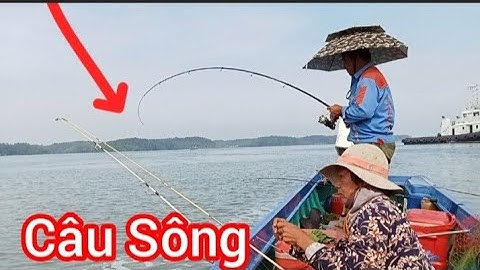 Điểm Câu Mới Lên Toàn Cá Ngon Câu Sông Lòng Tàu