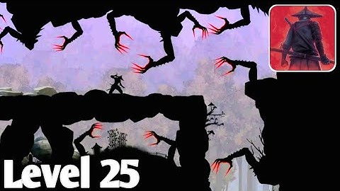 Ninja Arashi 2 Shadow