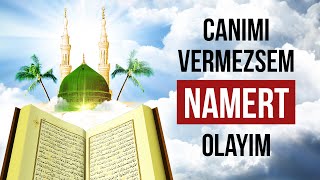 Canimi Vermezsem Namert Olayim - Şiir: Halil Dülgar Yorum: Murat Gökhan Gürel